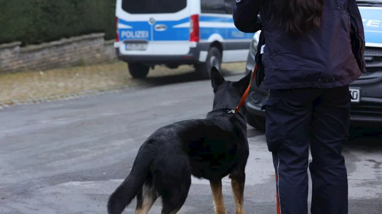 Kriminalität: Nach Großrazzia gegen Schleuserbande: Weitere Durchsuchungen