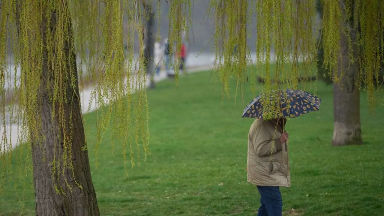 Wetter: Regen und Gewitter in Rheinland-Pfalz und im Saarland