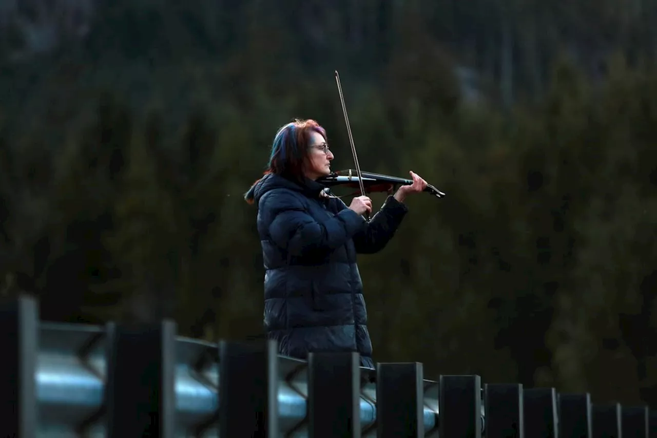 Violinist tries to serenade B.C. orca calf to freedom, as others ready nets and boats