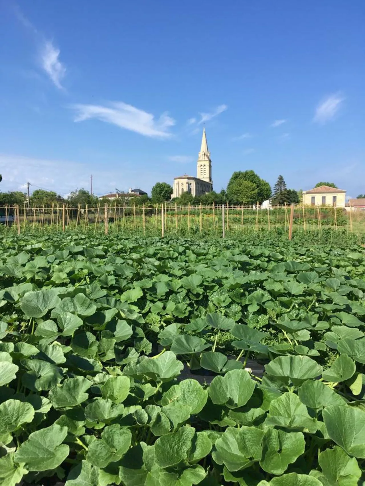 Gironde : Cussac-Fort-Médoc célèbre le terroir et l’écocitoyenneté avec Le Bon Goût du local