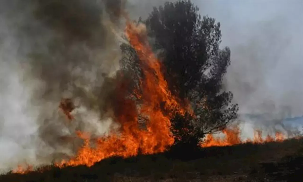 Incendies : pompier volontaire, un jeune de 17 ans condamné à de la prison avec sursis