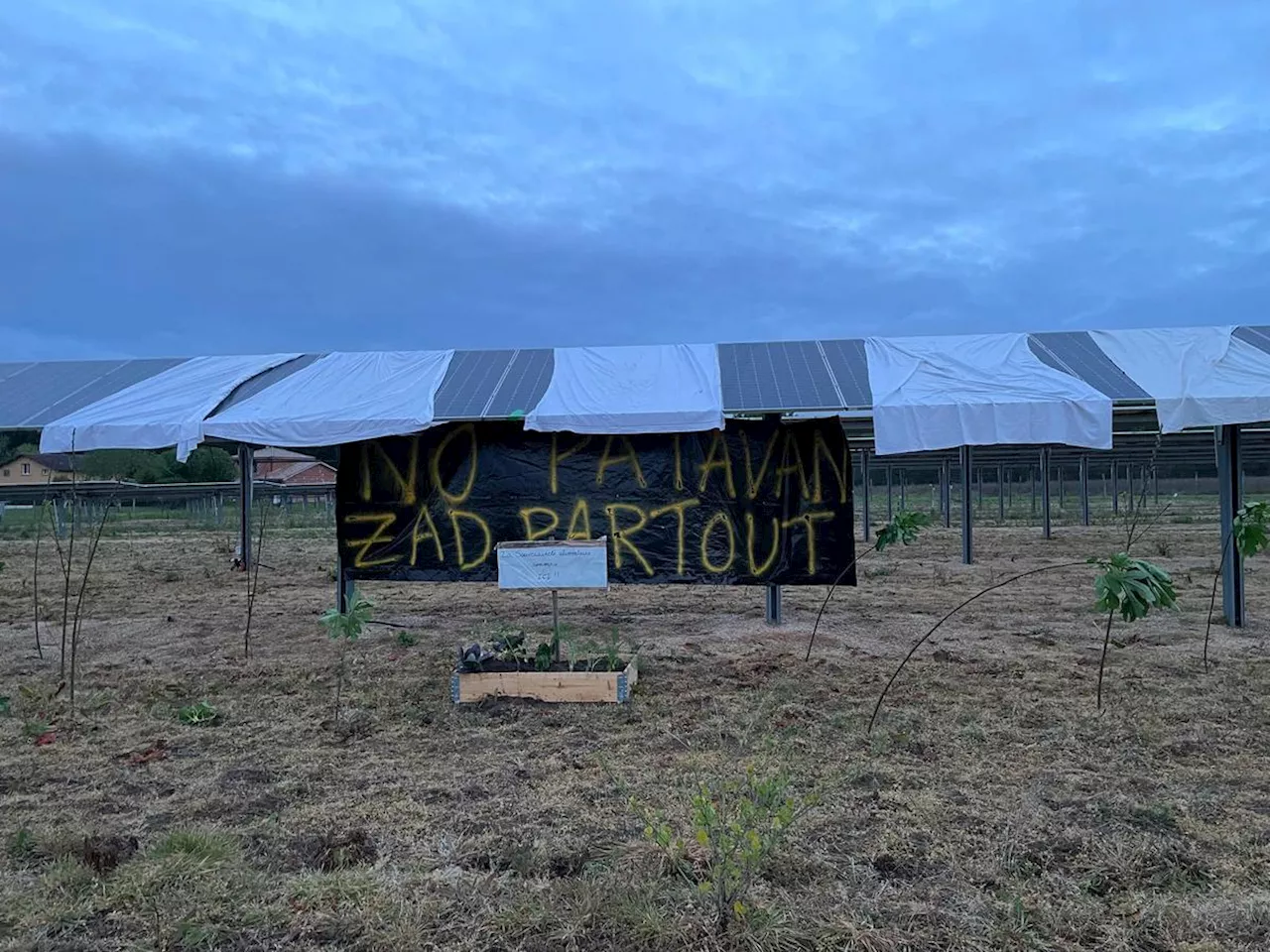 Landes : le Modef dénonce l’accaparement des terres agricoles par « des sociétés de production d’énergie »