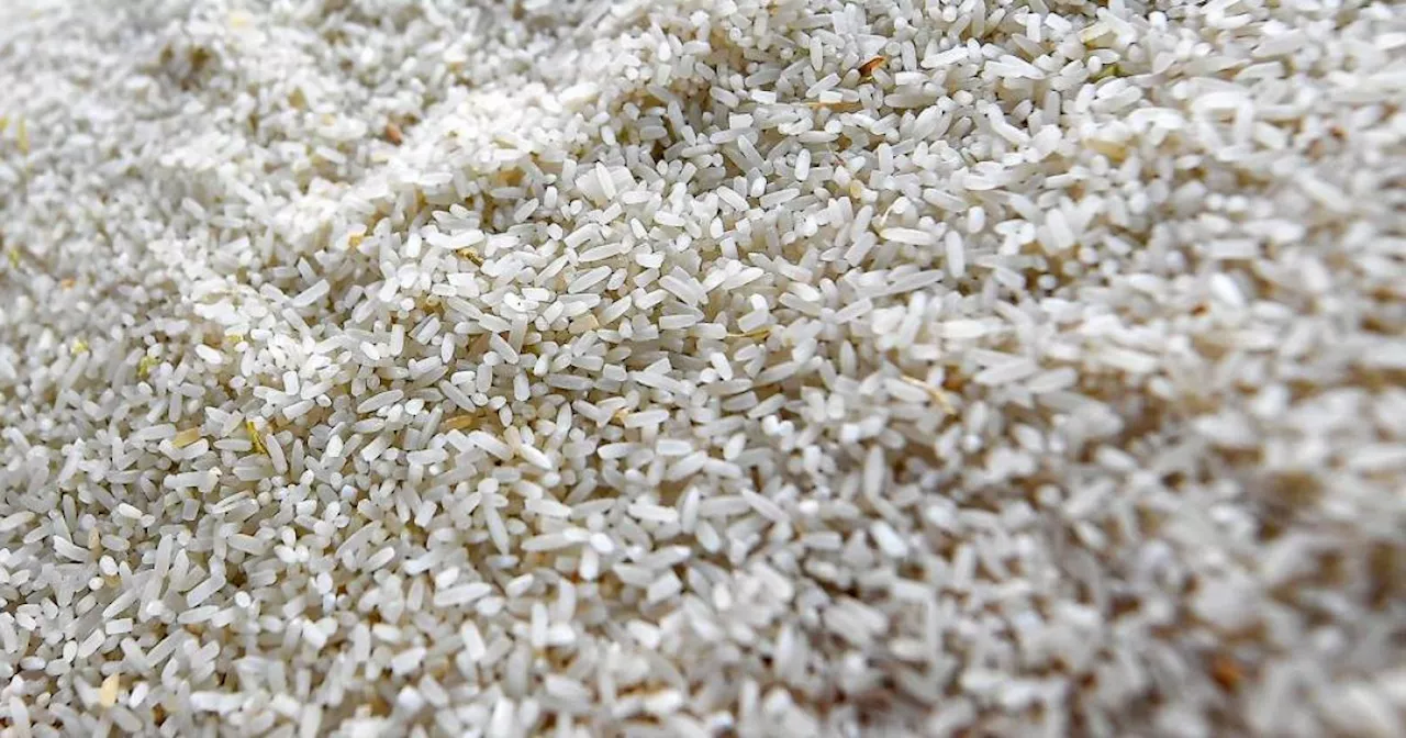 DG: LPP to request additional quota for local white rice if required