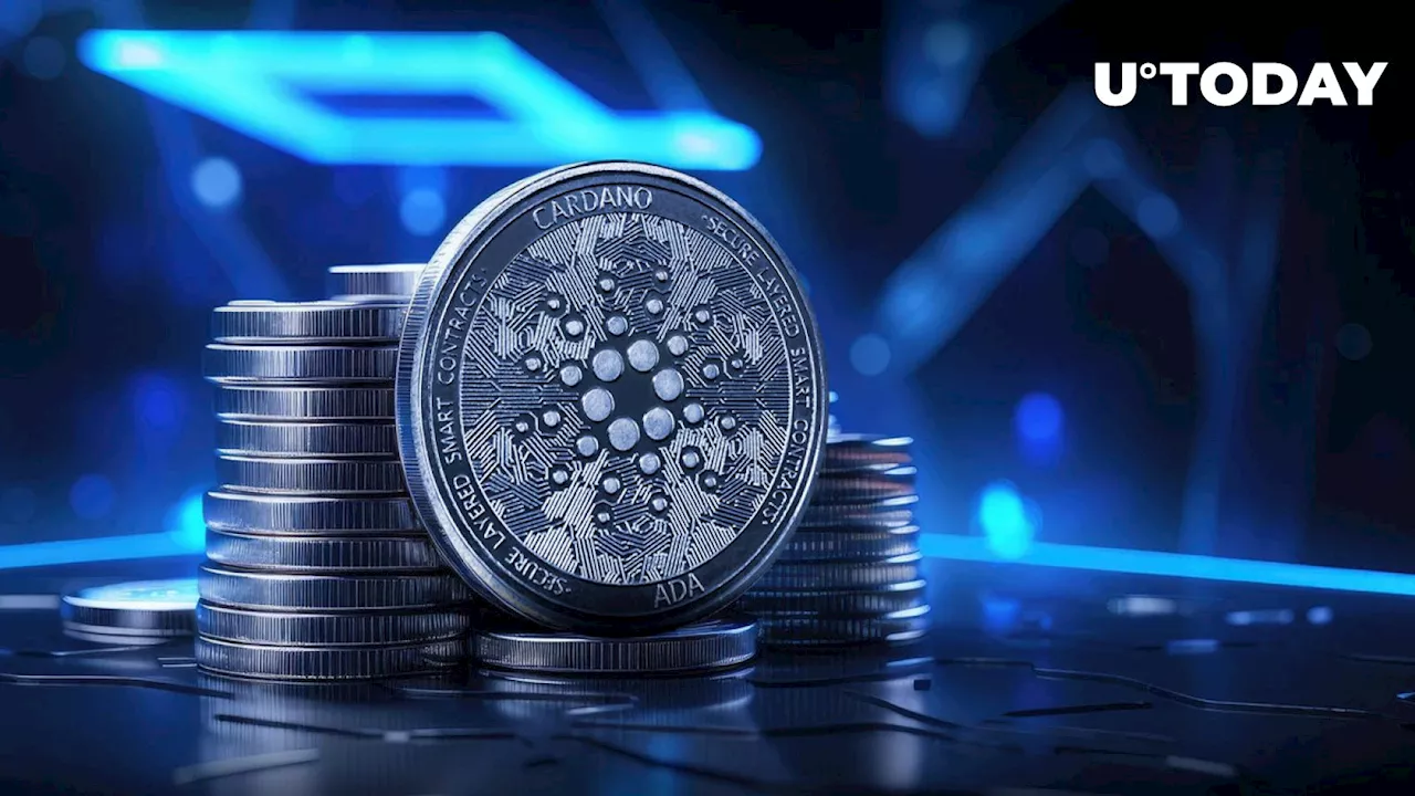 Cardano Foundation CEO Talks New Era for Cardano as ADA Evolves