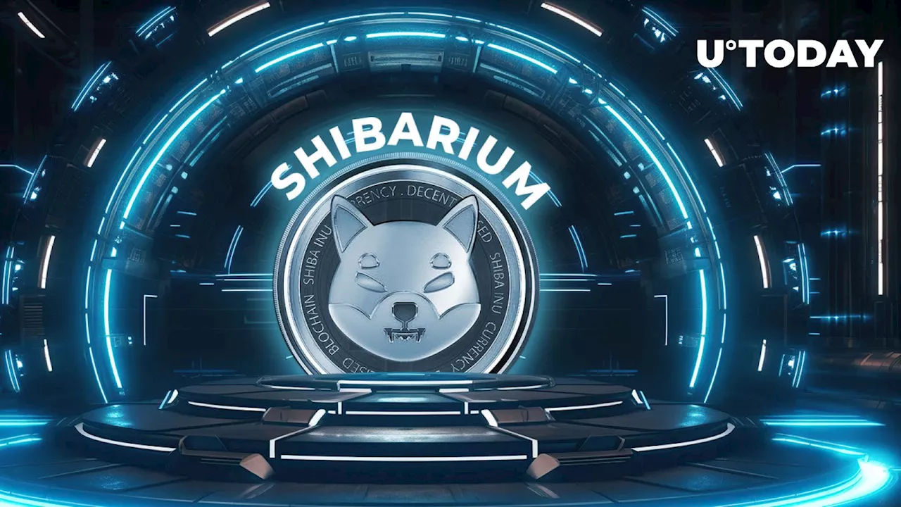 Shiba Inu's Shibarium Skyrockets 160% as Key Metric Recovers