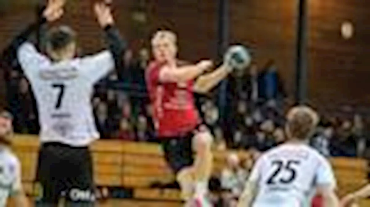 Handball: Tim Coors und HSG Delmenhorst peilen Qualifikation an