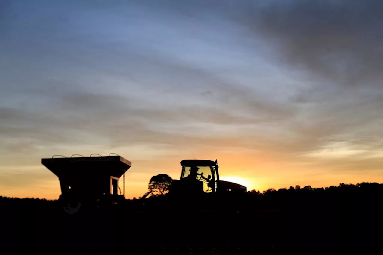 Analysis-Paraguay on track for record soy crop, but low river levels slow exports