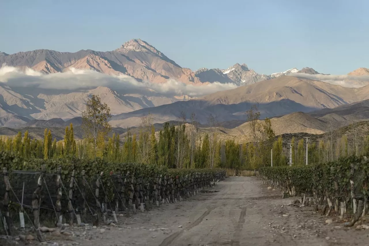 Malbec: Wine writer Christine Austin reveals her top 10 Malbecs from across the world