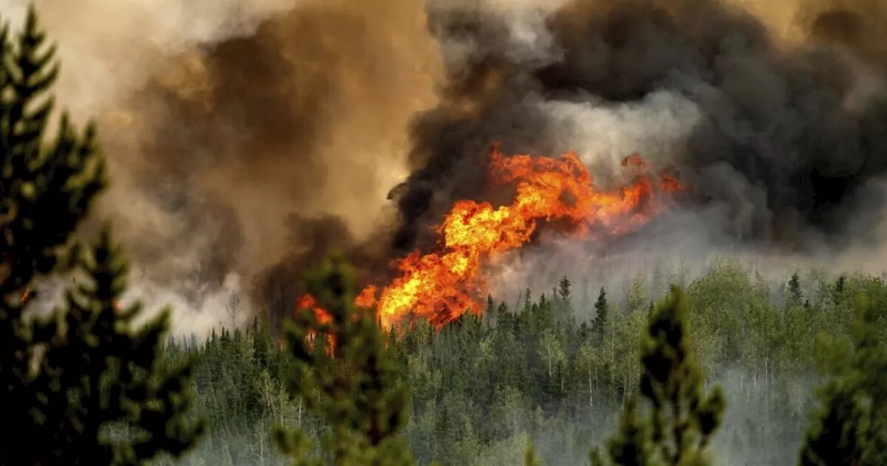 As climate warms, wildfires could make air more deadly, study says