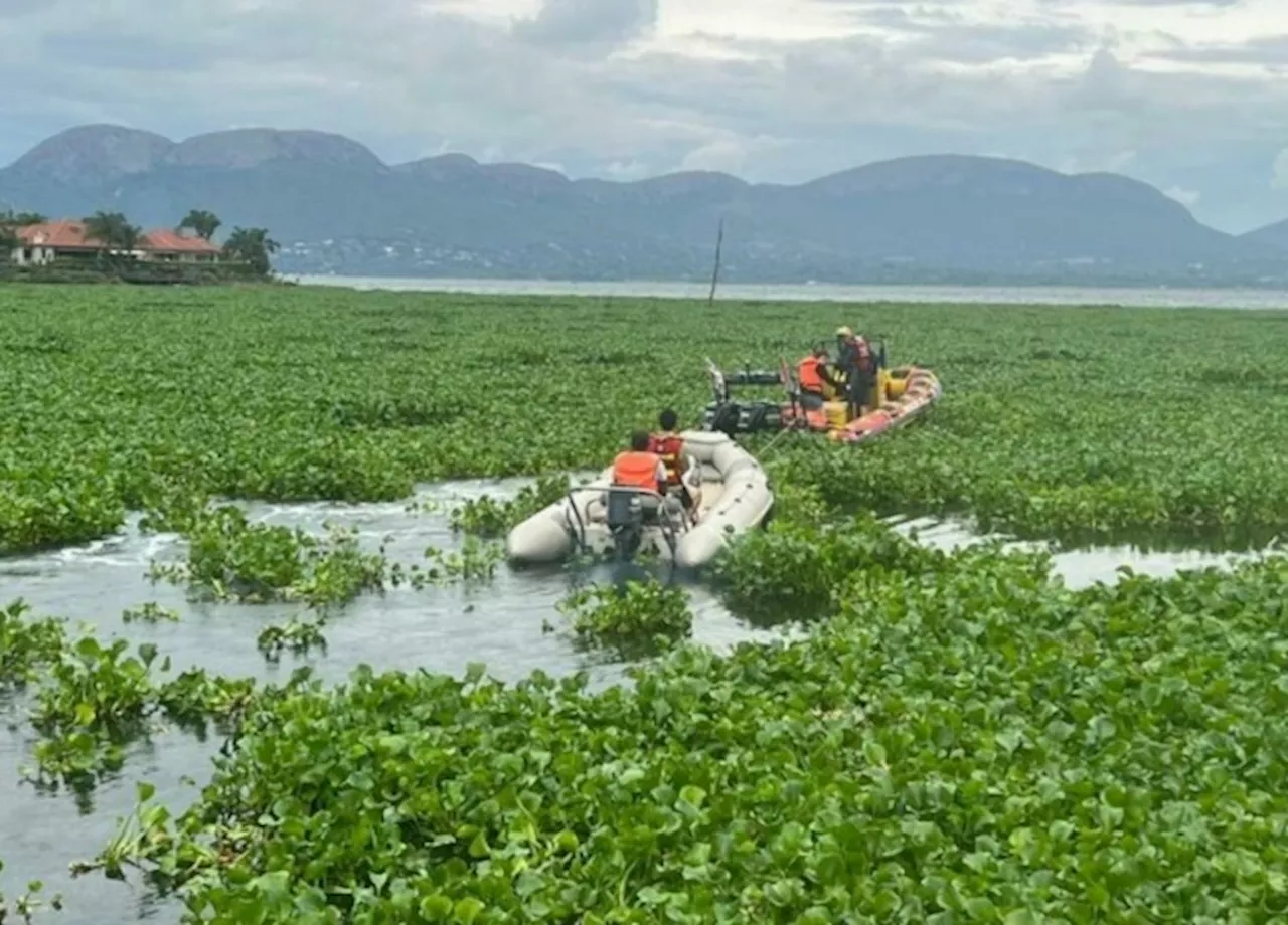 Critics Caution Against Spraying Hazardous Pesticide On Vaal River To Combat Water Lettuce