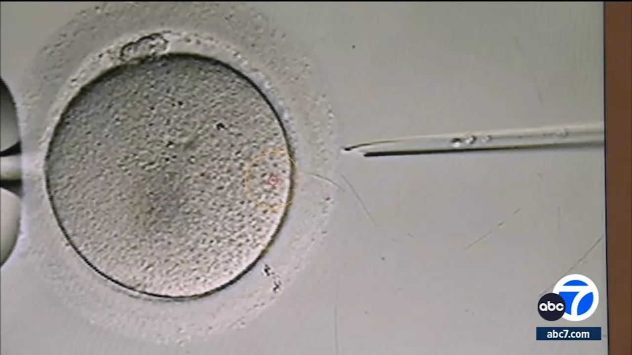 OC couples file lawsuit against IVF clinic after embryos allegedly destroyed by lab error