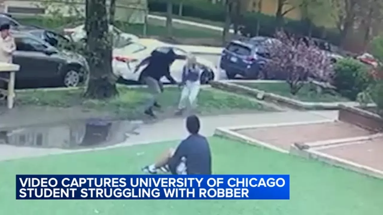 University of Chicago student struggles with robber; other students robbed near campus