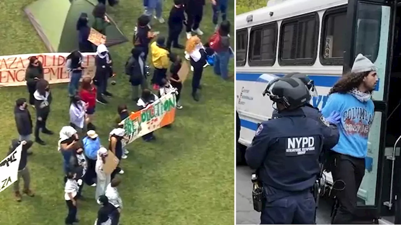 Pro-Palestinian protests continue at Columbia University after dozens of NYPD arrests