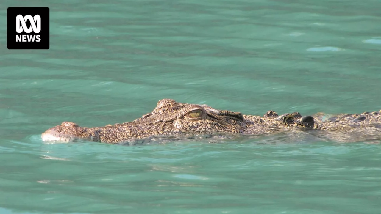 Body found in search for missing teen in Torres Strait has injuries consistent with crocodile attack