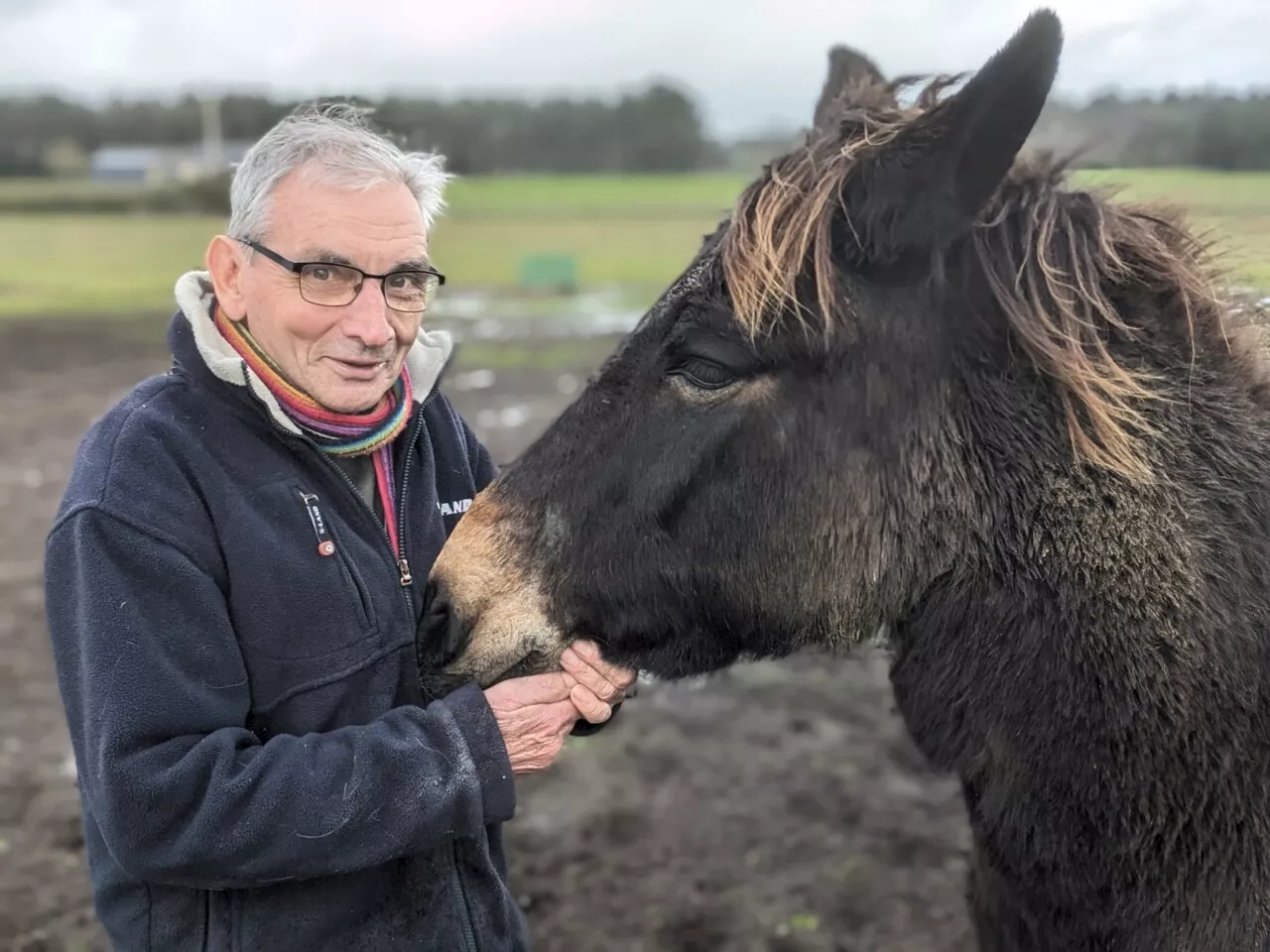 Dans la Sarthe, ce refuge a sauvé près de 150 animaux de ferme