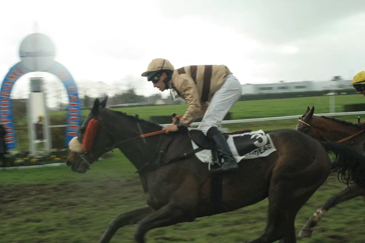 Loudéac : 7 courses hippiques au programme à l'hippodrome de Calouet