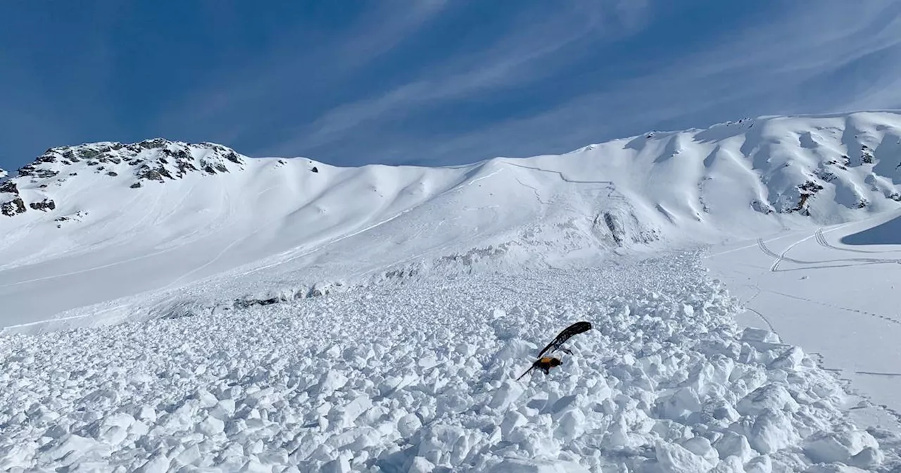 ‘I can’t die right now’: Brothers survive avalanche near Arctic Man site with lessons to share