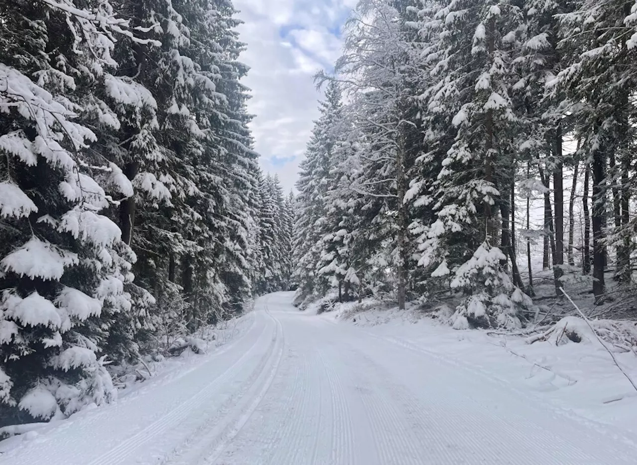 Snøfall i Oslo i natt – Skiforeningen kjører løyper