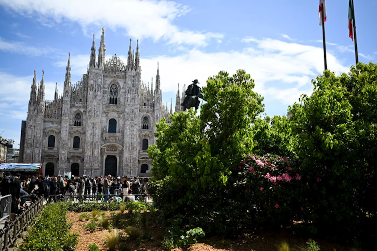 Dopo le palme, in piazza Duomo a Milano arriva l'Oasi Zegna