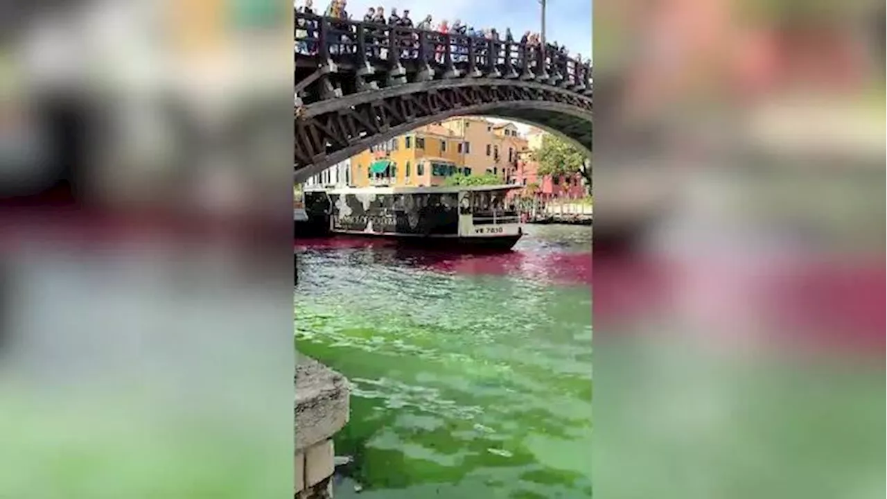 Venezia, Canal Grande tinto di verde e rosso: bloccati due francesi