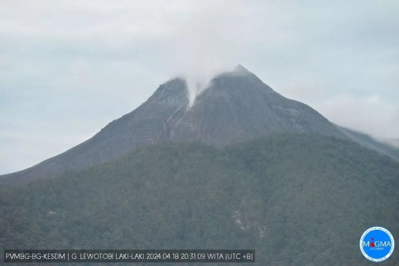 Badan Geologi: Aktivitas kegempaan Lewotobi Laki-laki fluktuatif