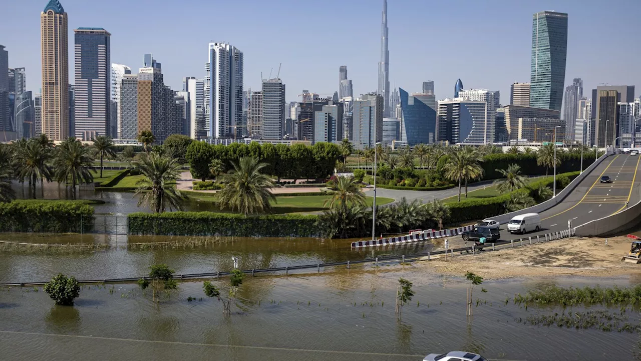 Long-haul carrier Emirates again halts local flight check-in as UAE recovers from record rains