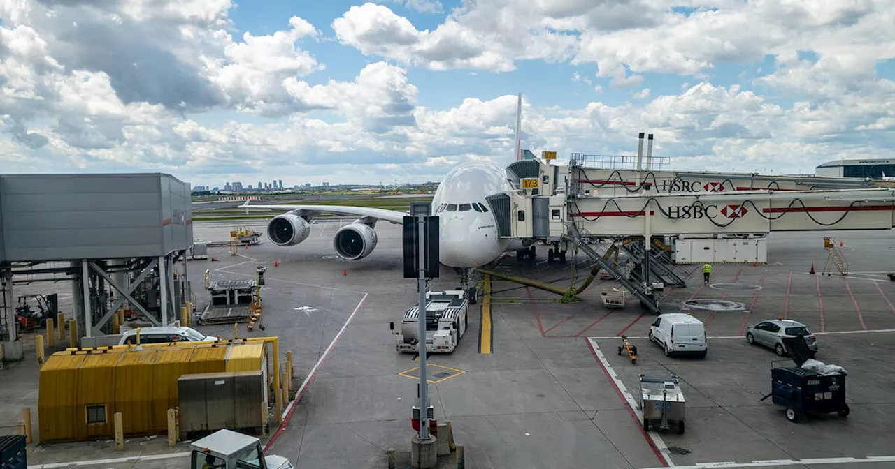 Cat lost at Toronto airport finally found on runway after multiple days