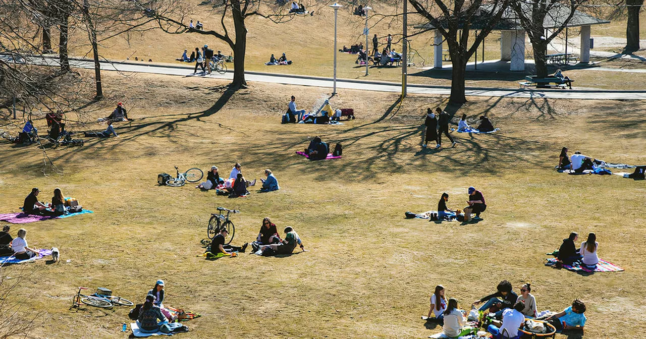 Here are all the Toronto parks where drinking will be permanently allowed