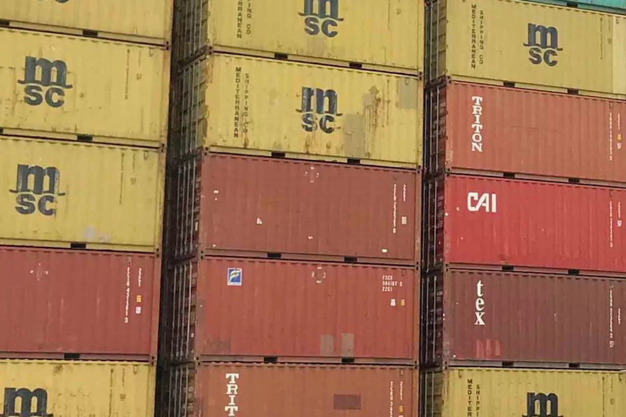 Surrey shipping container is not a garden shed, judge rules