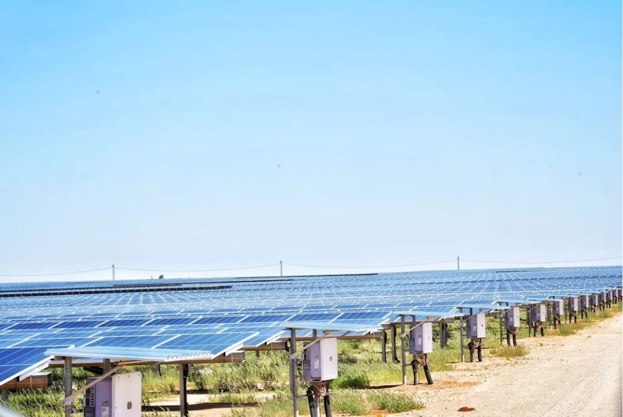 Massive solar farm launches in South Africa