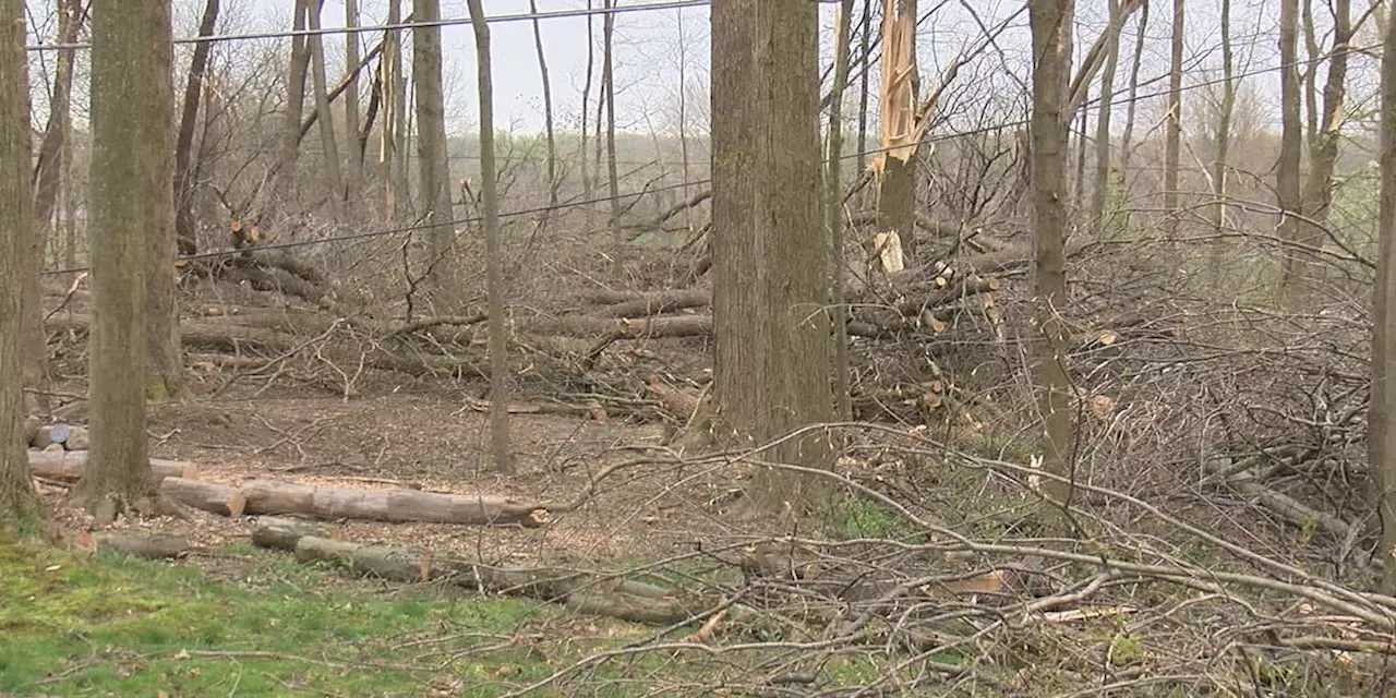 Tornado cleanup continues in Windham