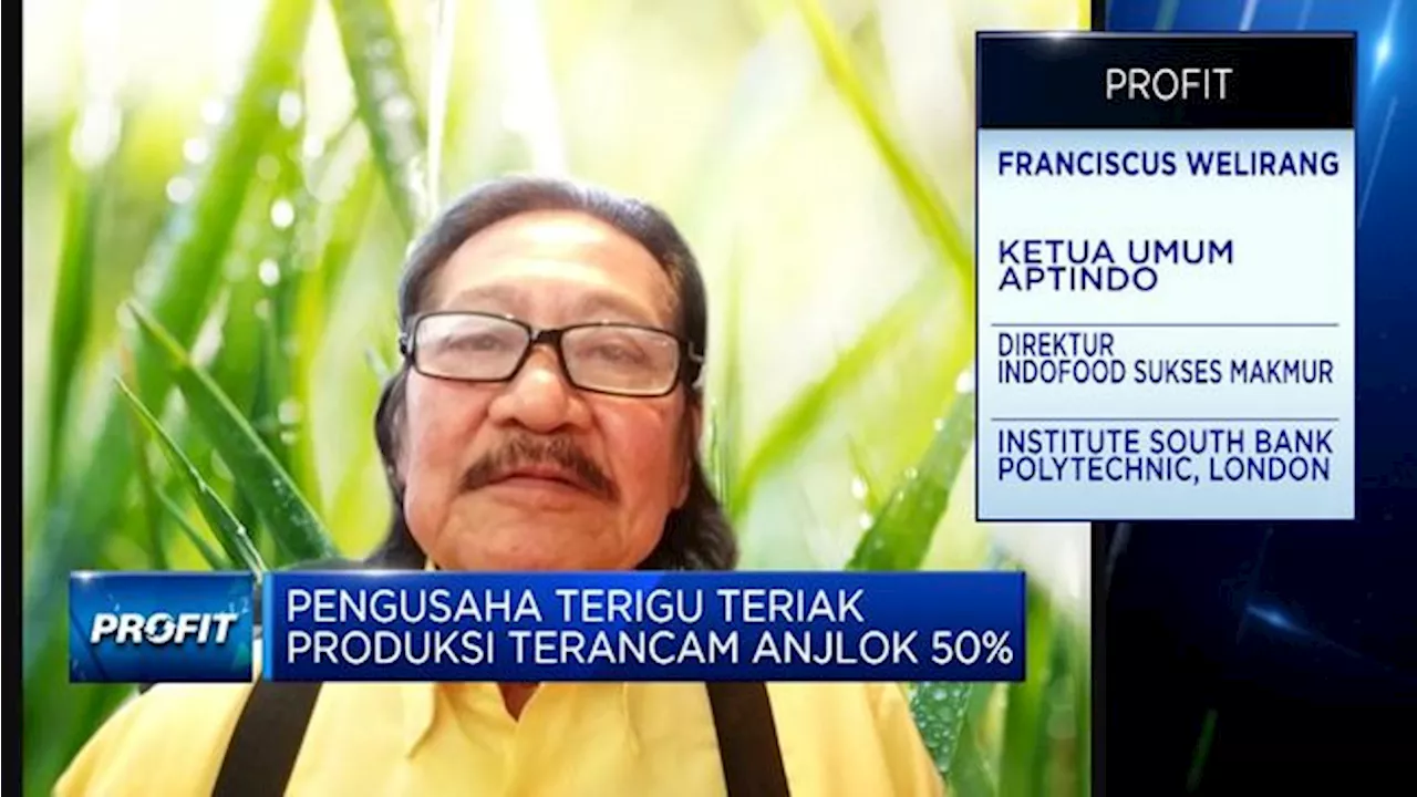 Ogah Disalahkan Pemerintah, Pengusaha Terigu Teriak Soal Aturan Impor