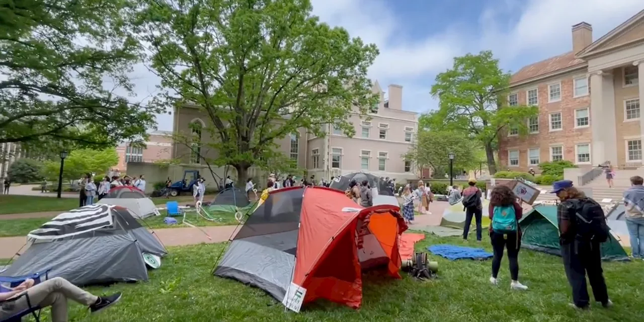 US College Students Demonstrate in Solidarity With Palestinians, Columbia Protesters