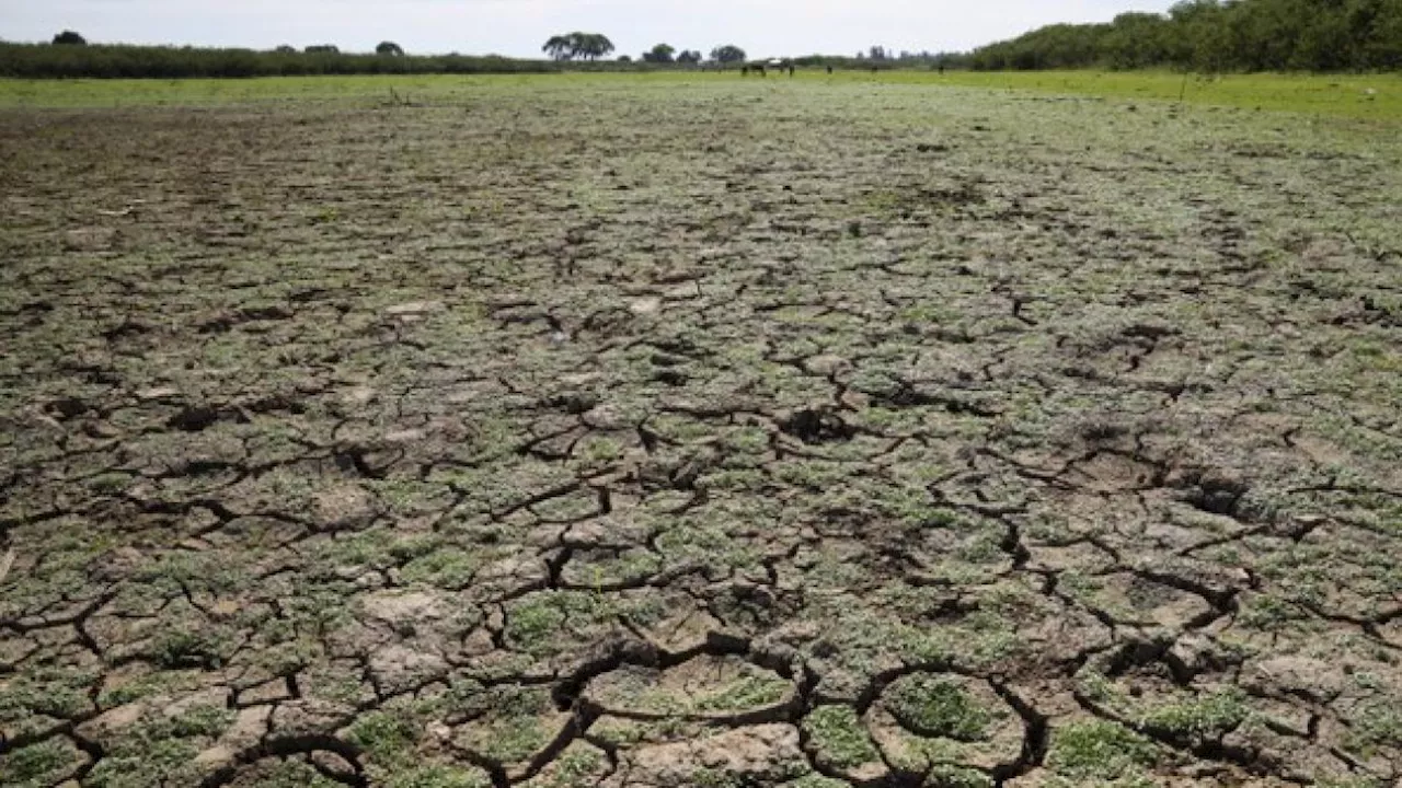 Clima, quanto costano i cambiamenti? I redditi medi caleranno del 19% entro il 2049: ecco perché