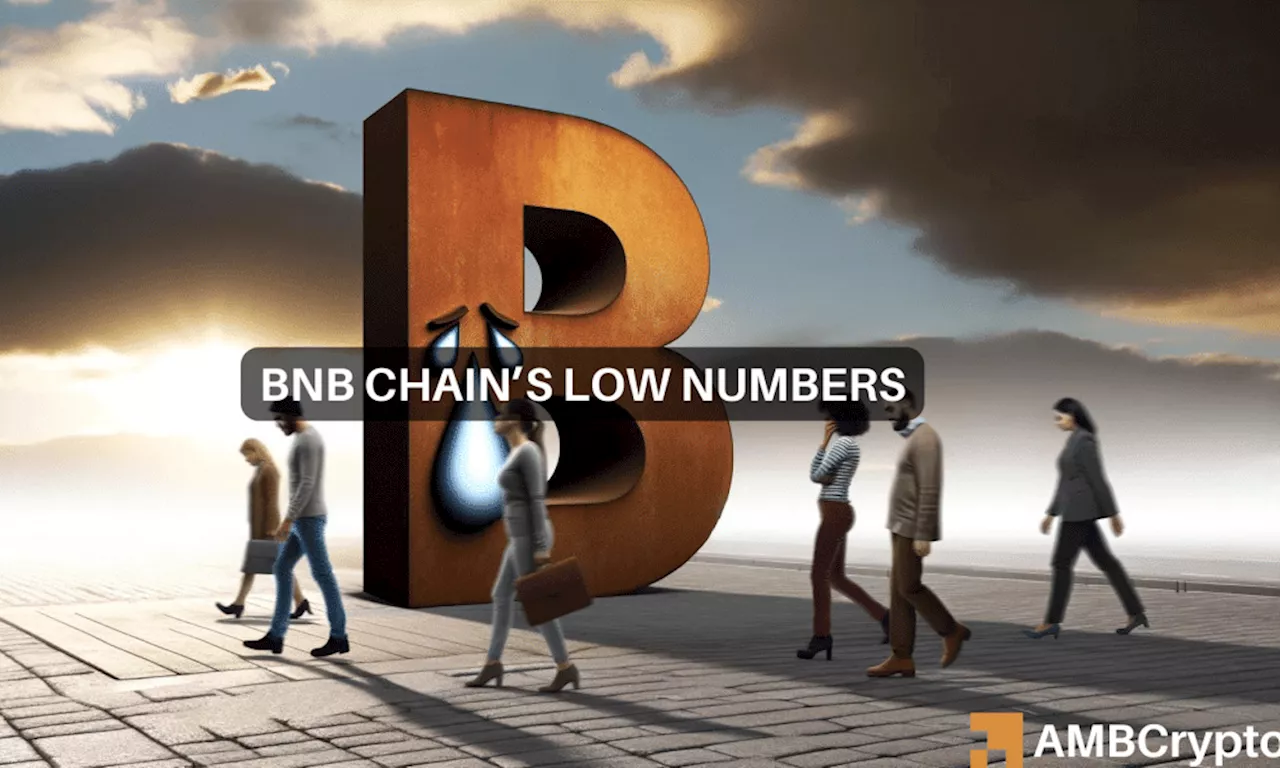 Inside BNB Chain’s latest 30-day low – How and why did it happen?