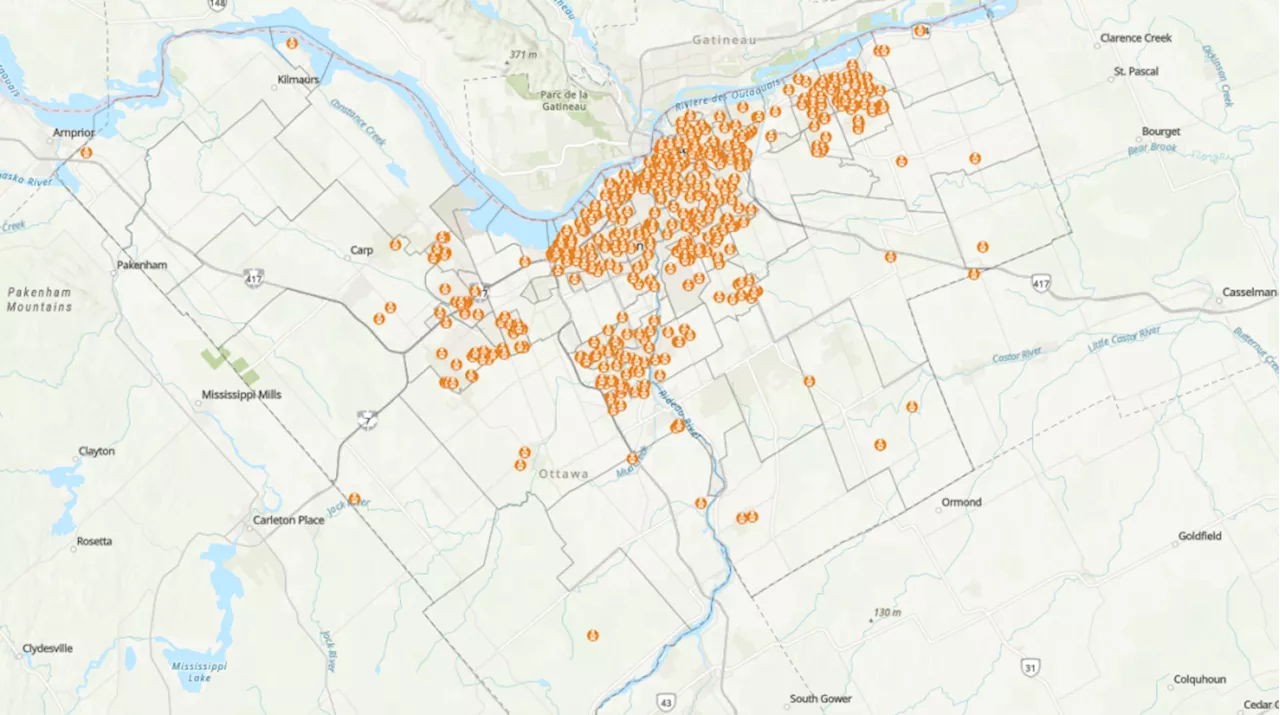 5 vehicles a day reported stolen in Ottawa so far in 2024, statistics show