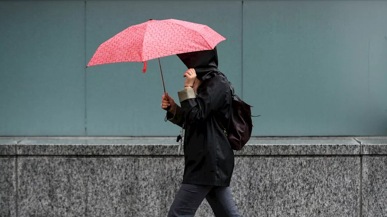 Rainy Friday in the forecast for Ottawa, but the sun returns this weekend