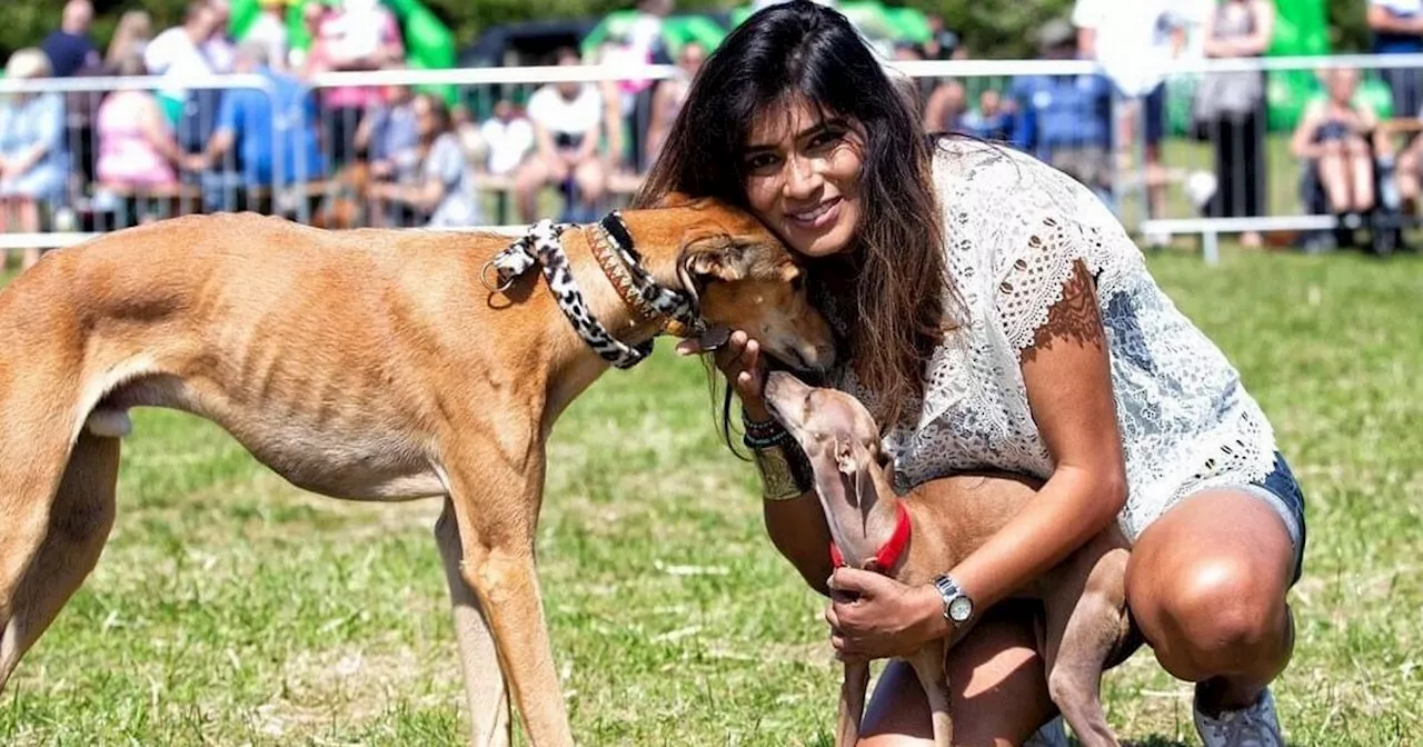 Mowgli dog show returns with food, drink and funfair