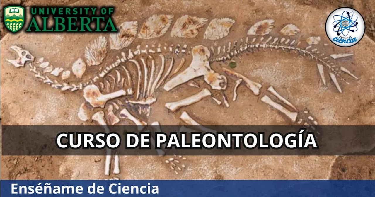 Aprende sobre paleontología con este curso GRATIS que ofrece la Universidad de Alberta