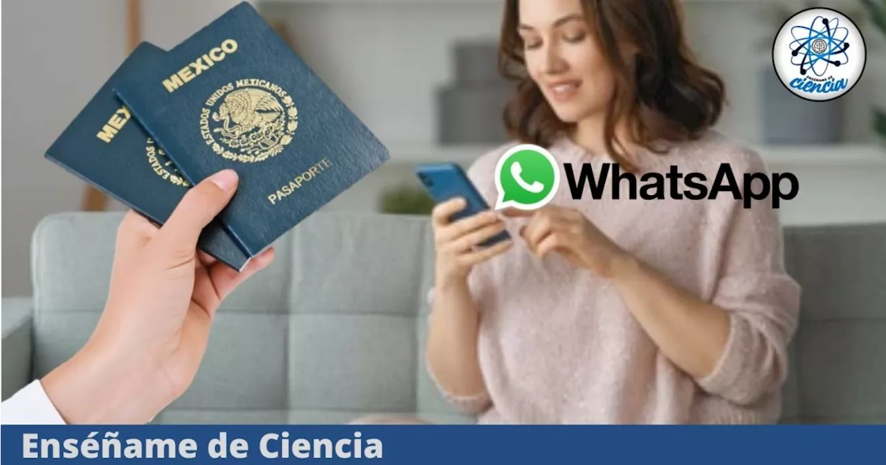 Pasaporte mexicano 2024: Los pasos para sacar cita por WhatsApp de manera fácil y rápida