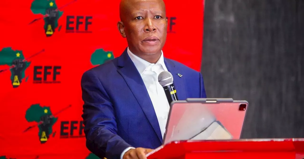 IEC unnecessarily giving Zuma free publicity with appeal, says EFF's Malema