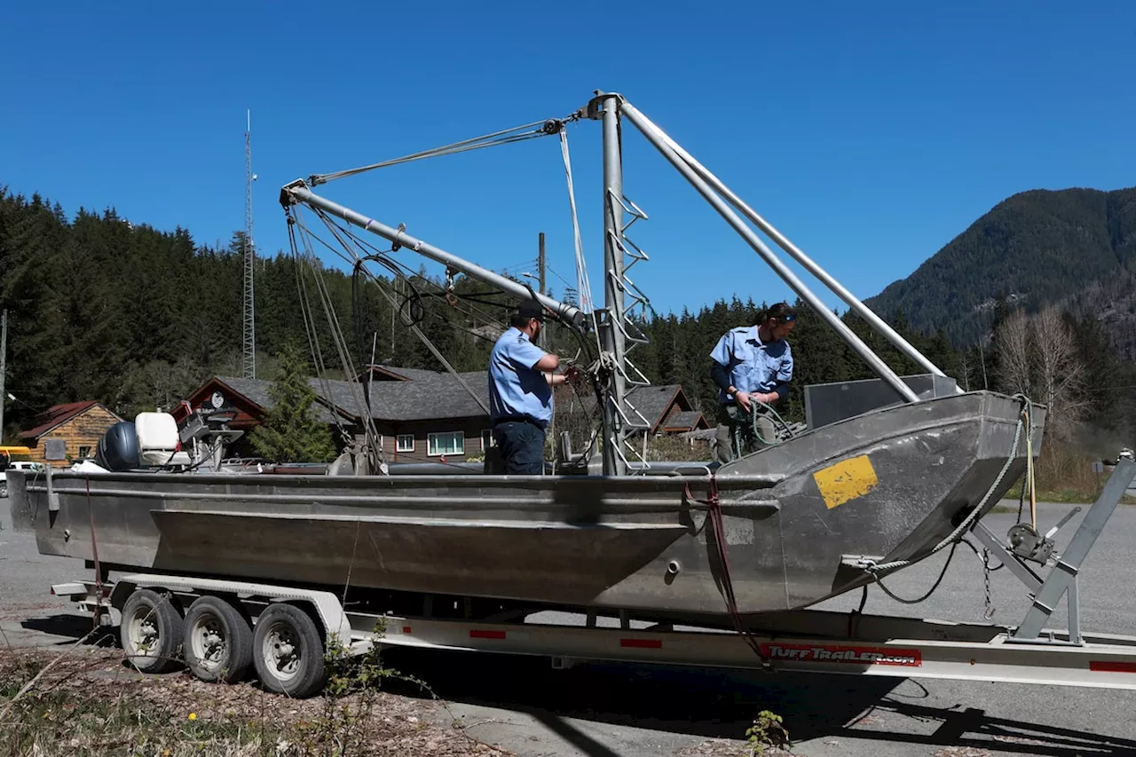 Bigger boats, more nets and people arrive in Zeballos, B.C., for new attempt to rescue stranded orca