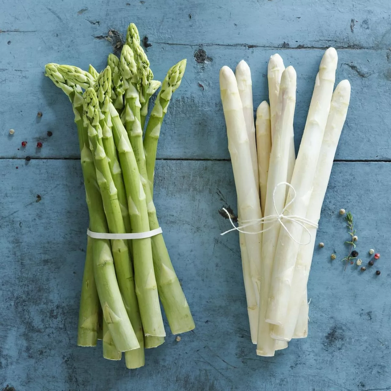 Gemüse füttern: Dürfen Hunde Spargel fressen?