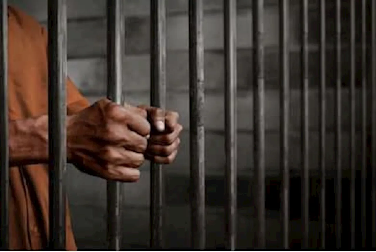 14 suspected cultists remanded in jail for culpable homicide in Kwara