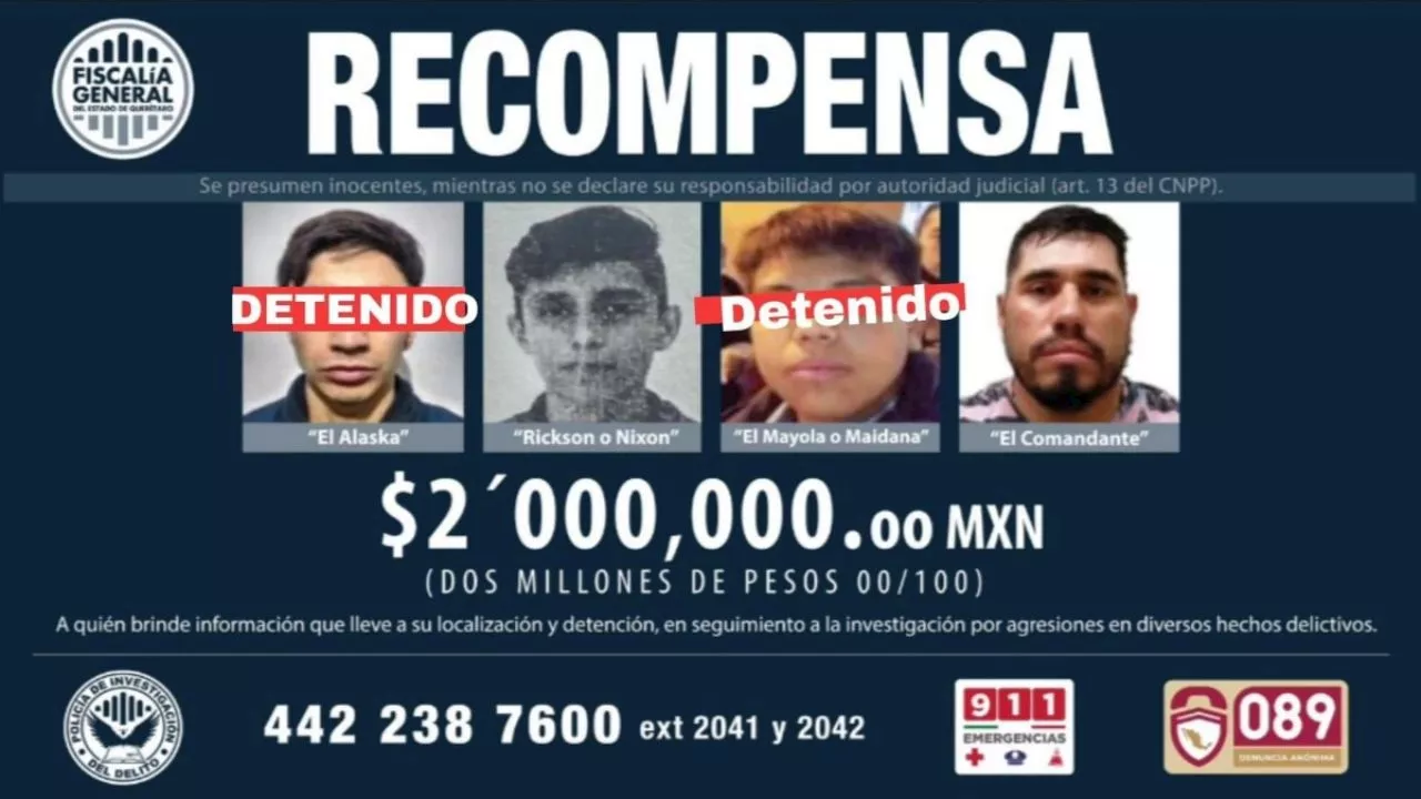 Detienen a 5 personas relacionados con 11 homicidios en Querétaro, se ofrecía recompensa por 2 de ellos