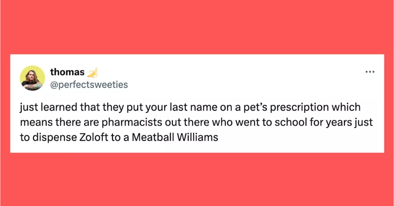 30 Of The Funniest Tweets About Cats And Dogs This Week (April 13-19)