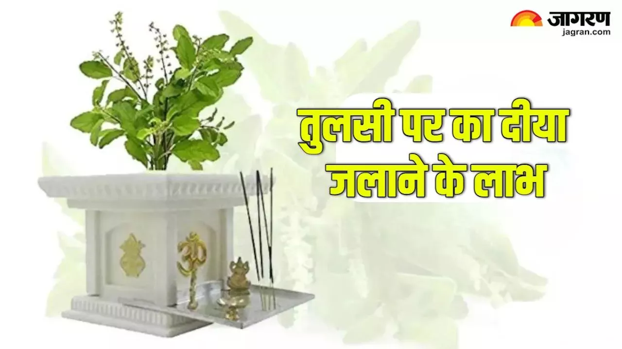 Tulsi Puja Niyam: तुलसी के पास दीपक जलाने से मिलते हैं कई अद्भुत लाभ, जानकर रह जाएंगे हैरान