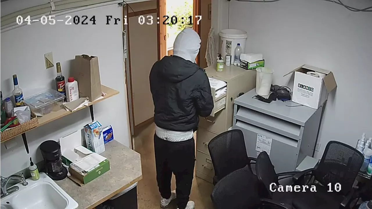 Surveillance video shows suspects robbing Tumwater cannabis warehouse