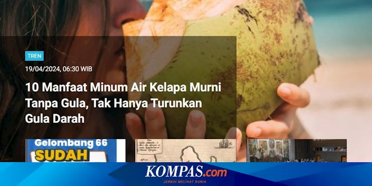 [POPULER TREN] Manfaat Air Kelapa Murni Tanpa Gula