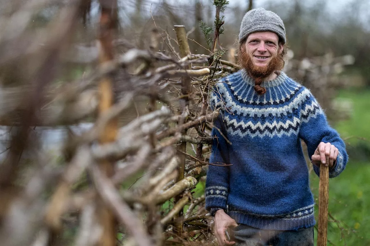 La «vraie richesse» selon Samuel Lewis, paysan-artiste installé en Bretagne